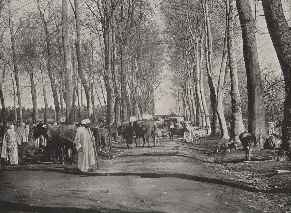 BOUFARIK. The Arab fair and market. Algeria 1895 old antique print picture